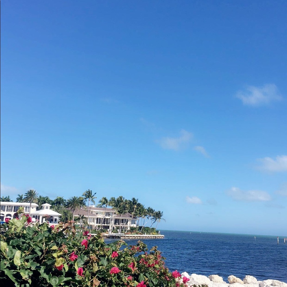 Meet your Posher, Anne